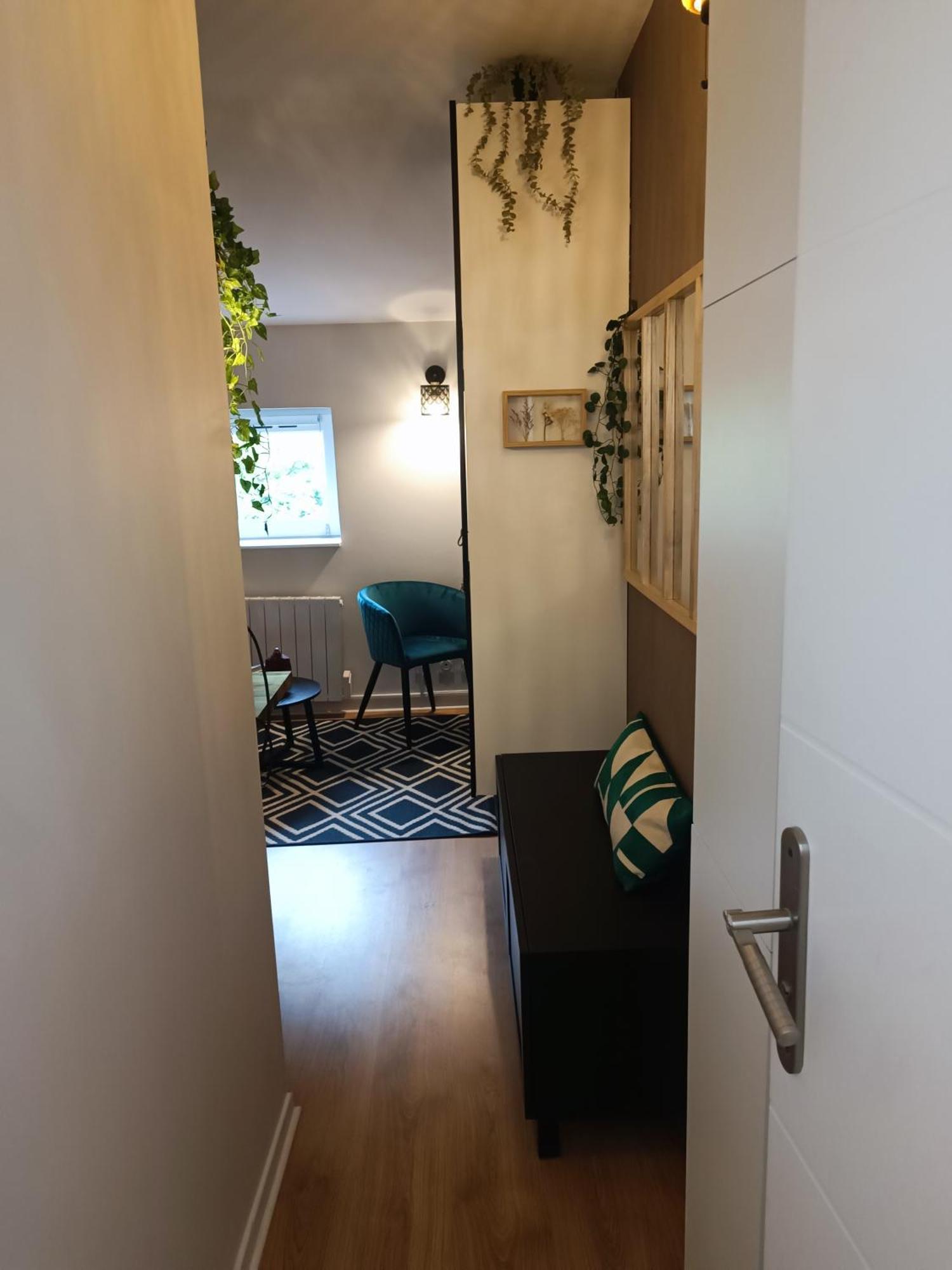 Charmant Studio Caluire Et Cuire - Lyon Экстерьер фото